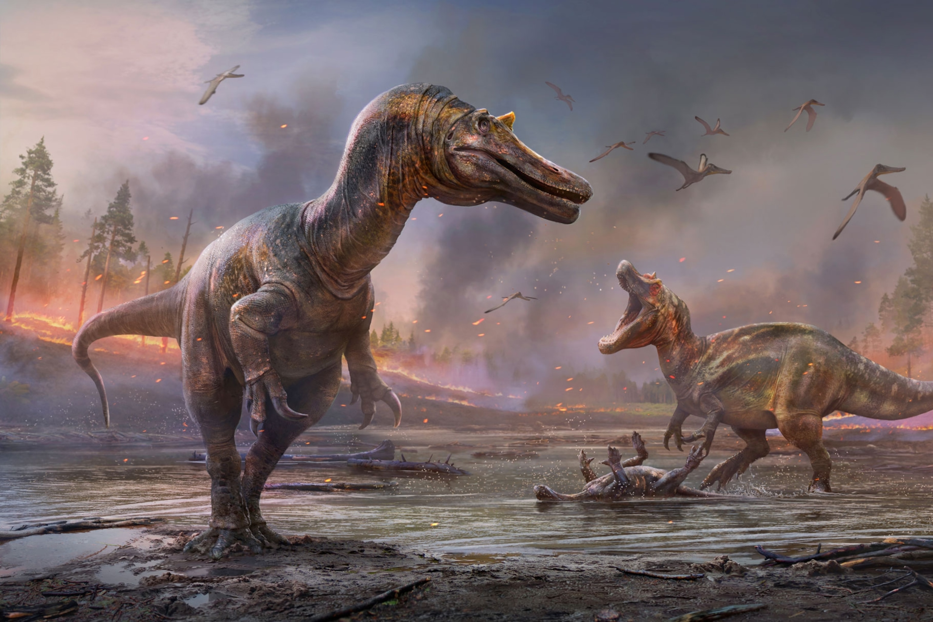 pictures of dino