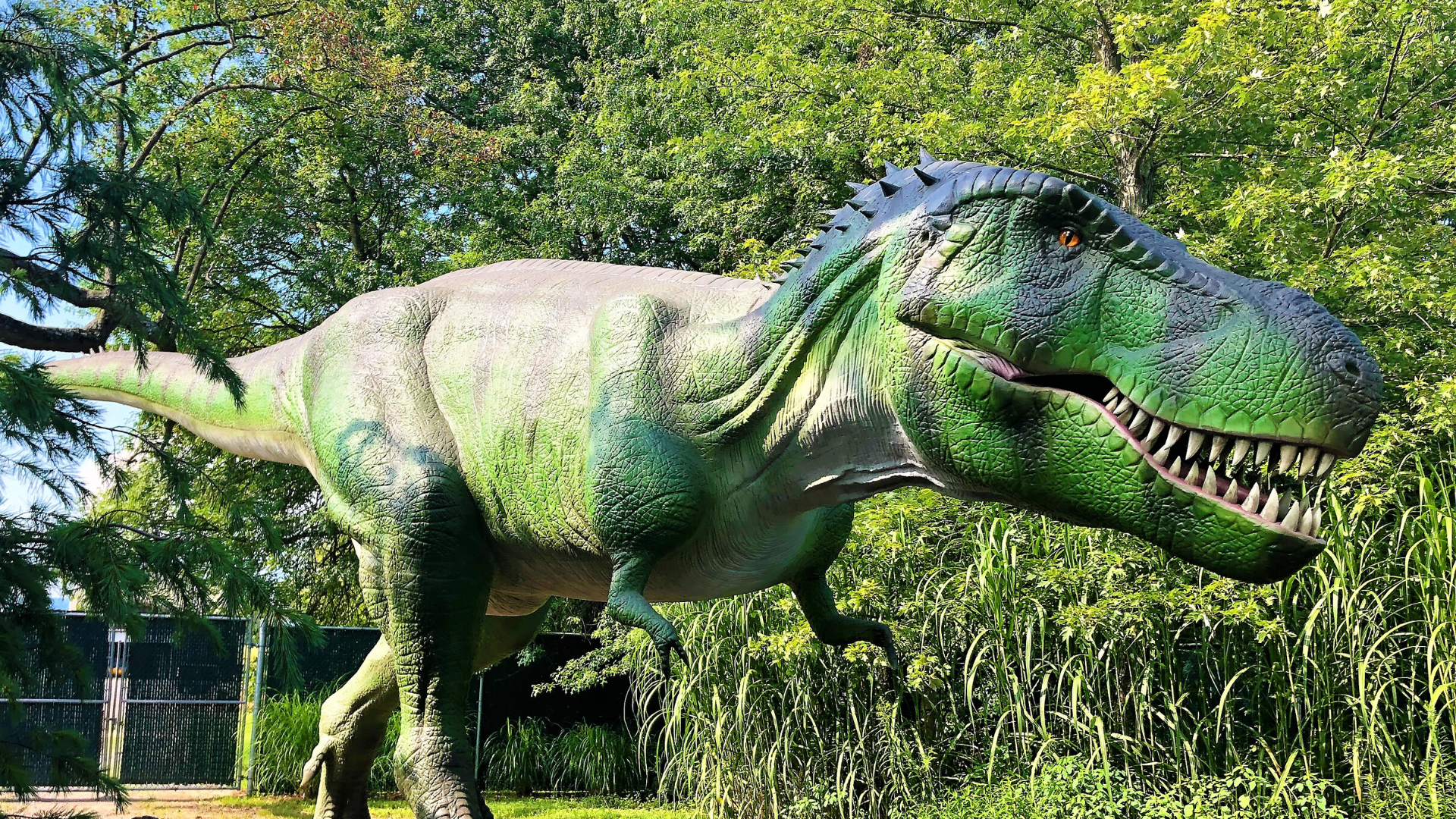 pictures of dinosours
