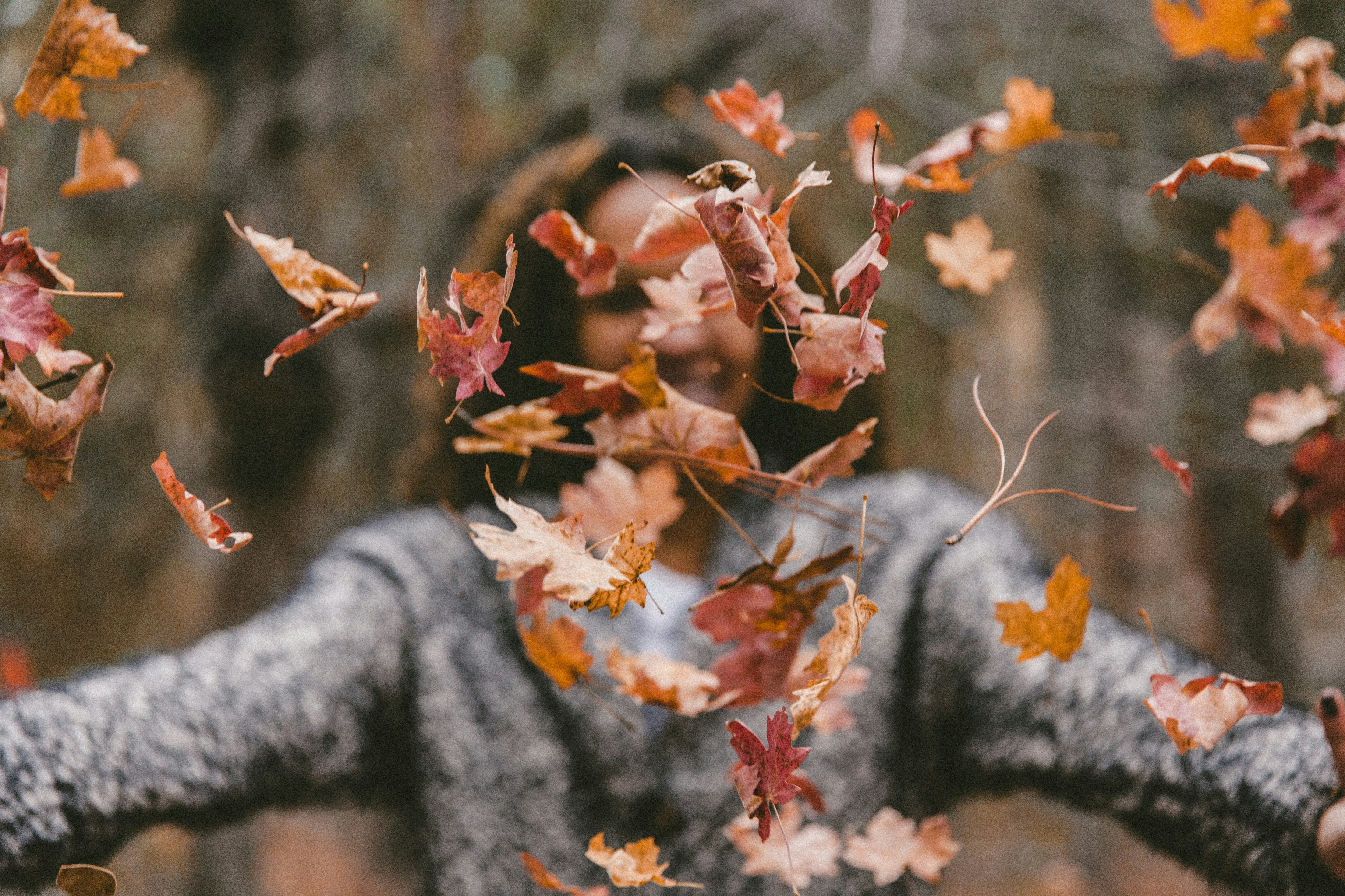 pictures of falling leaves