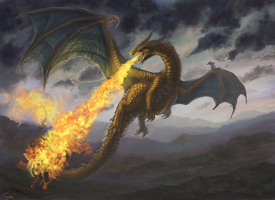 pictures of fire breathing dragons