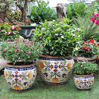 pictures of flower pot