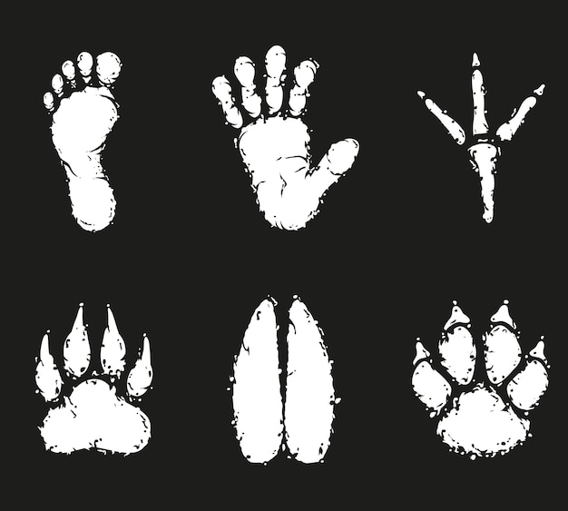 pictures of foot prints
