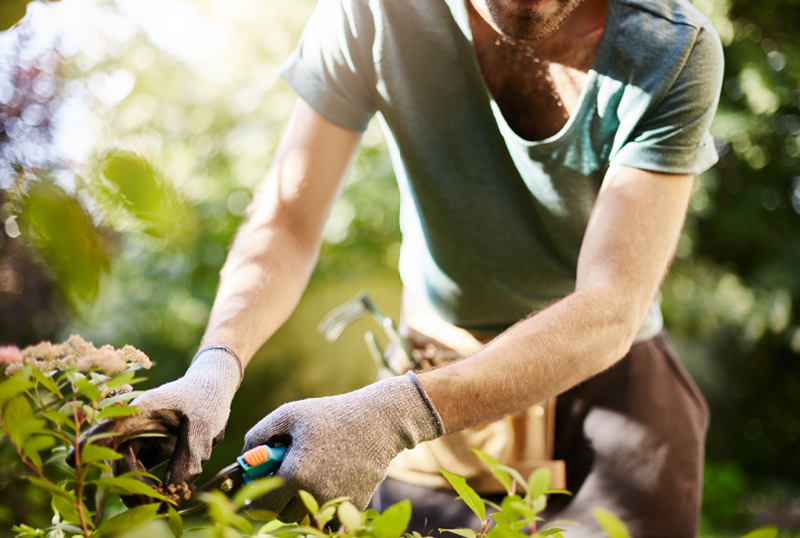 pictures of gardeners