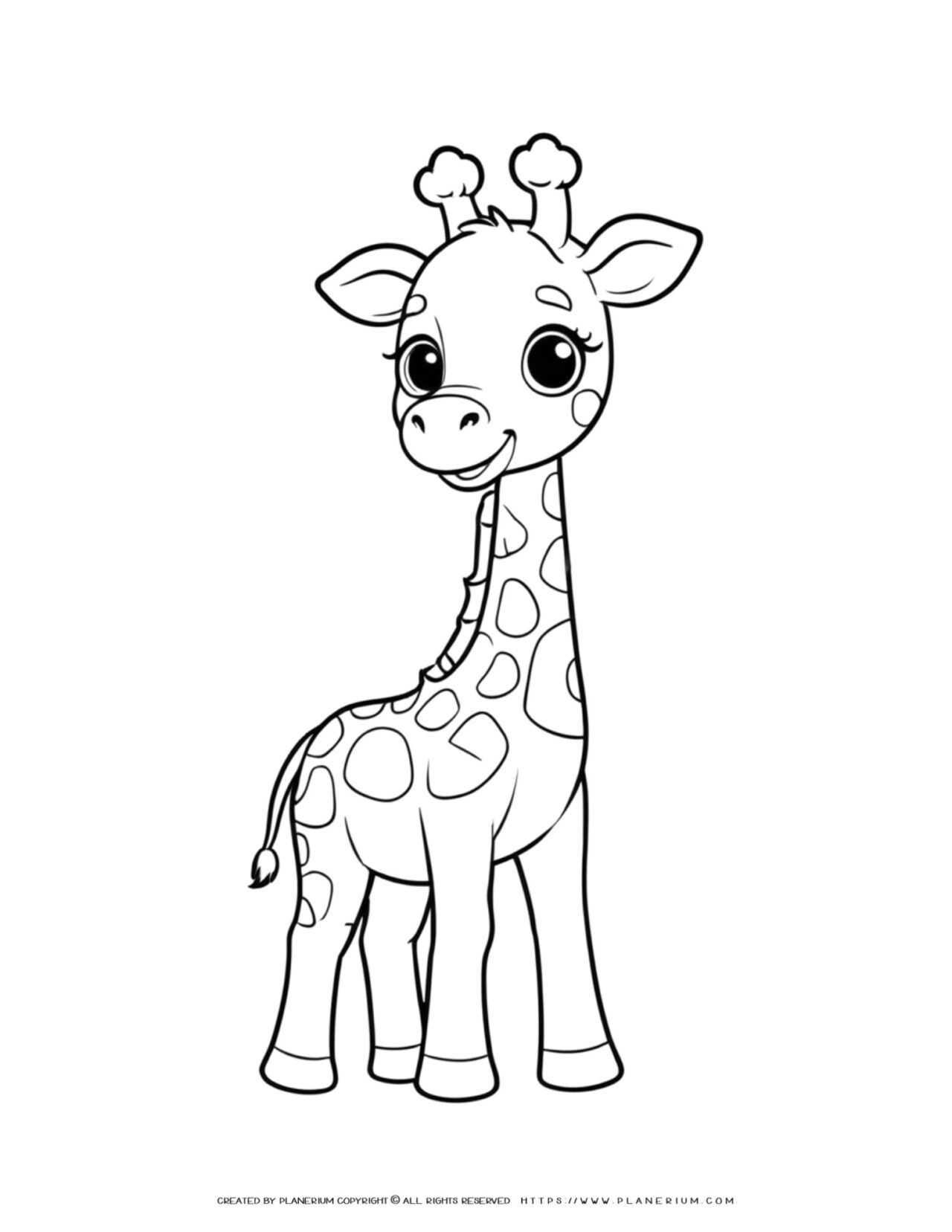 pictures of giraffes to color