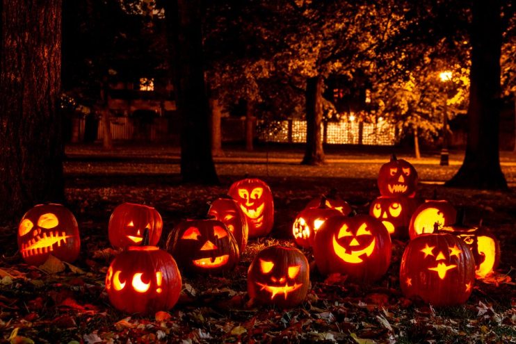 pictures of halloween pumkins