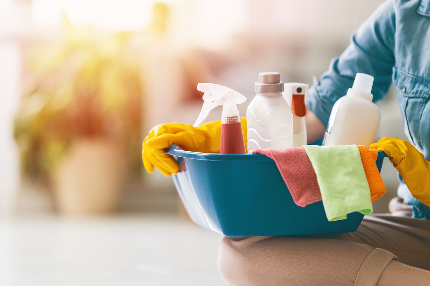 pictures of house cleaning