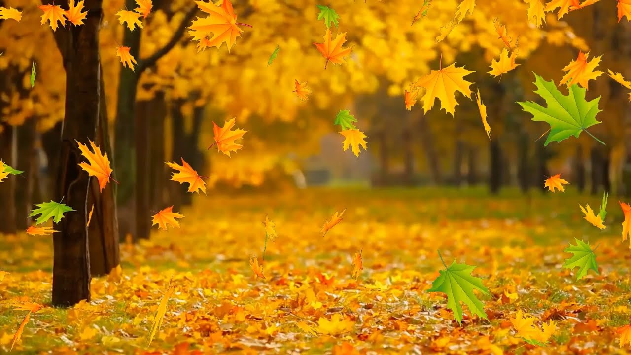 pictures of leaves falling