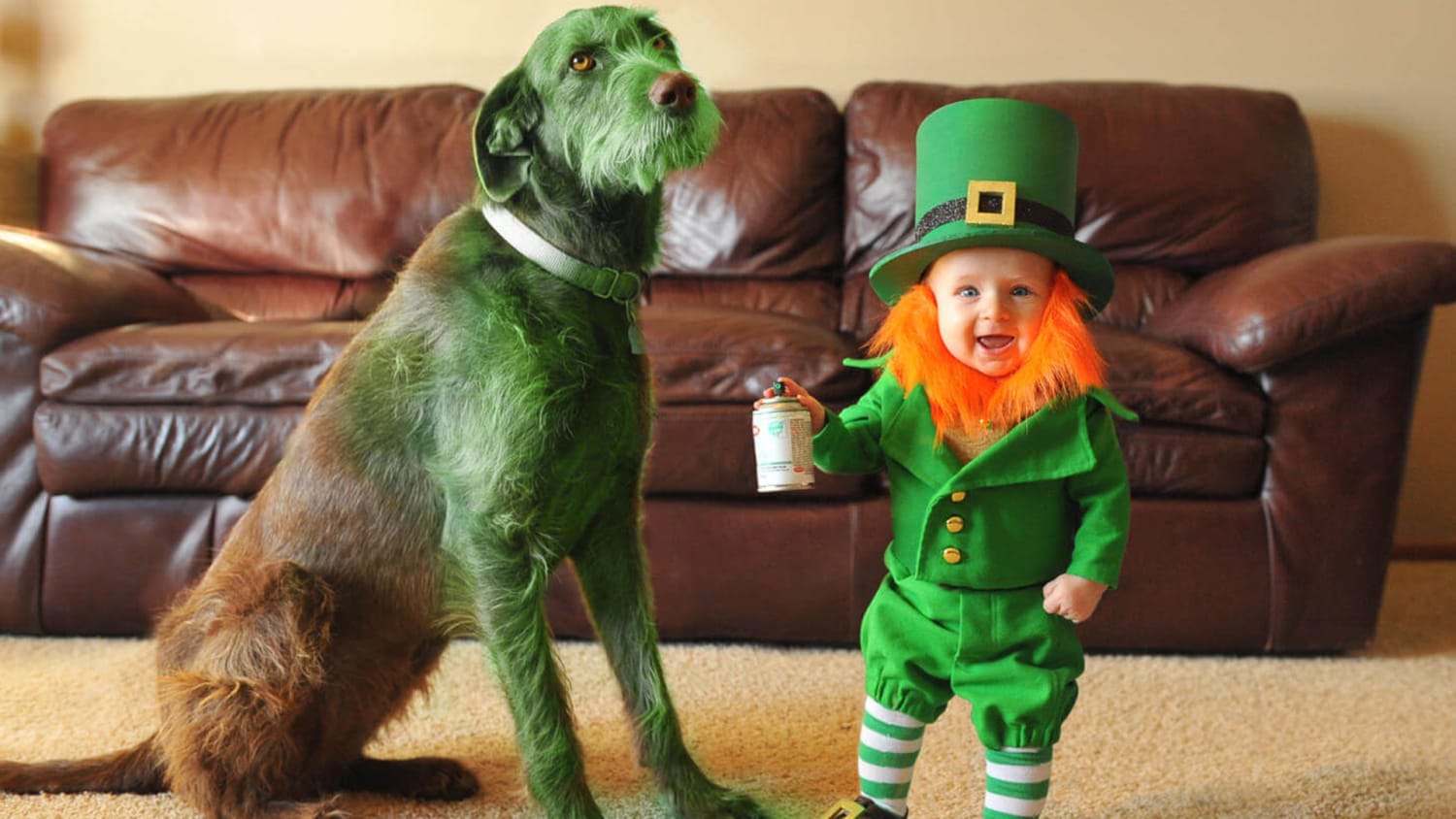 pictures of leprechaun