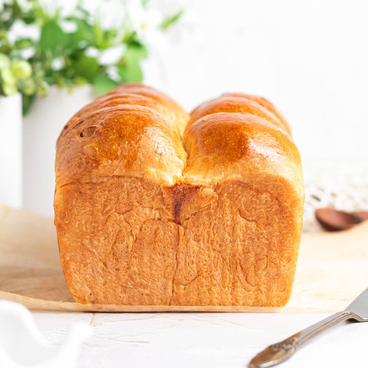 pictures of loaf of bread