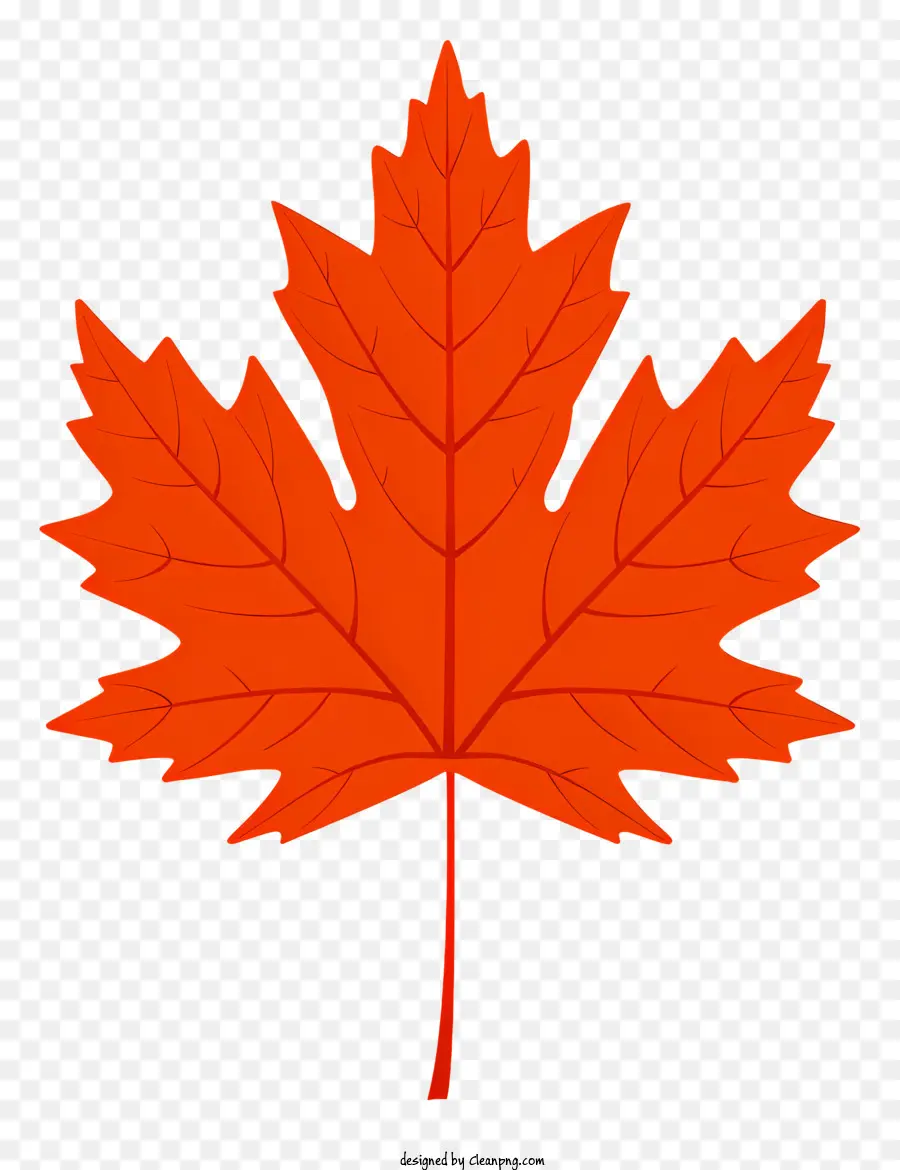 pictures of maple leaves