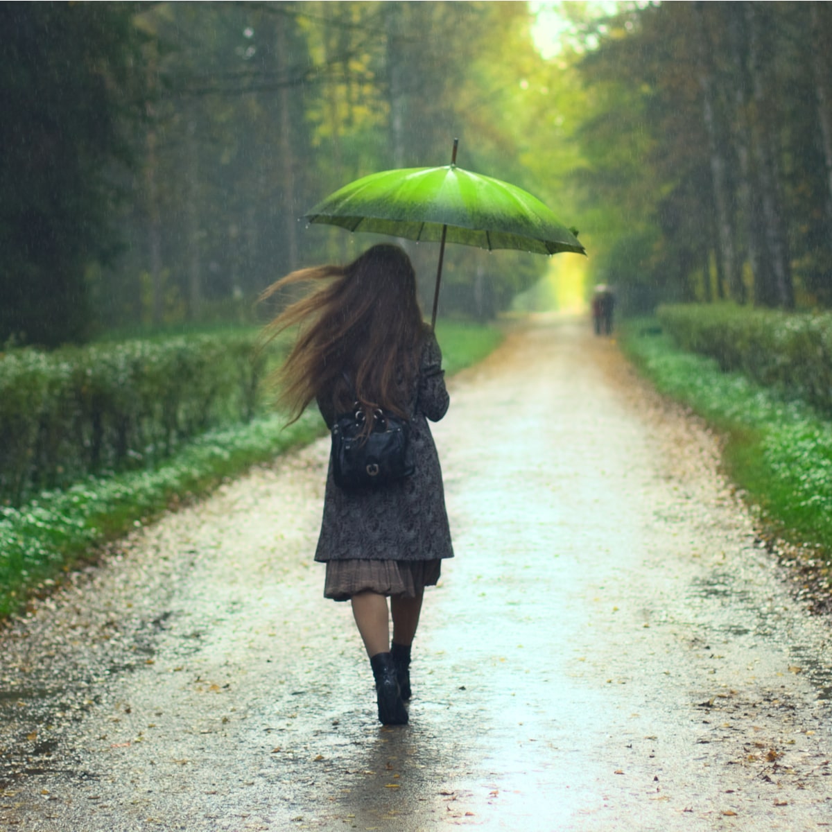pictures of rainy day