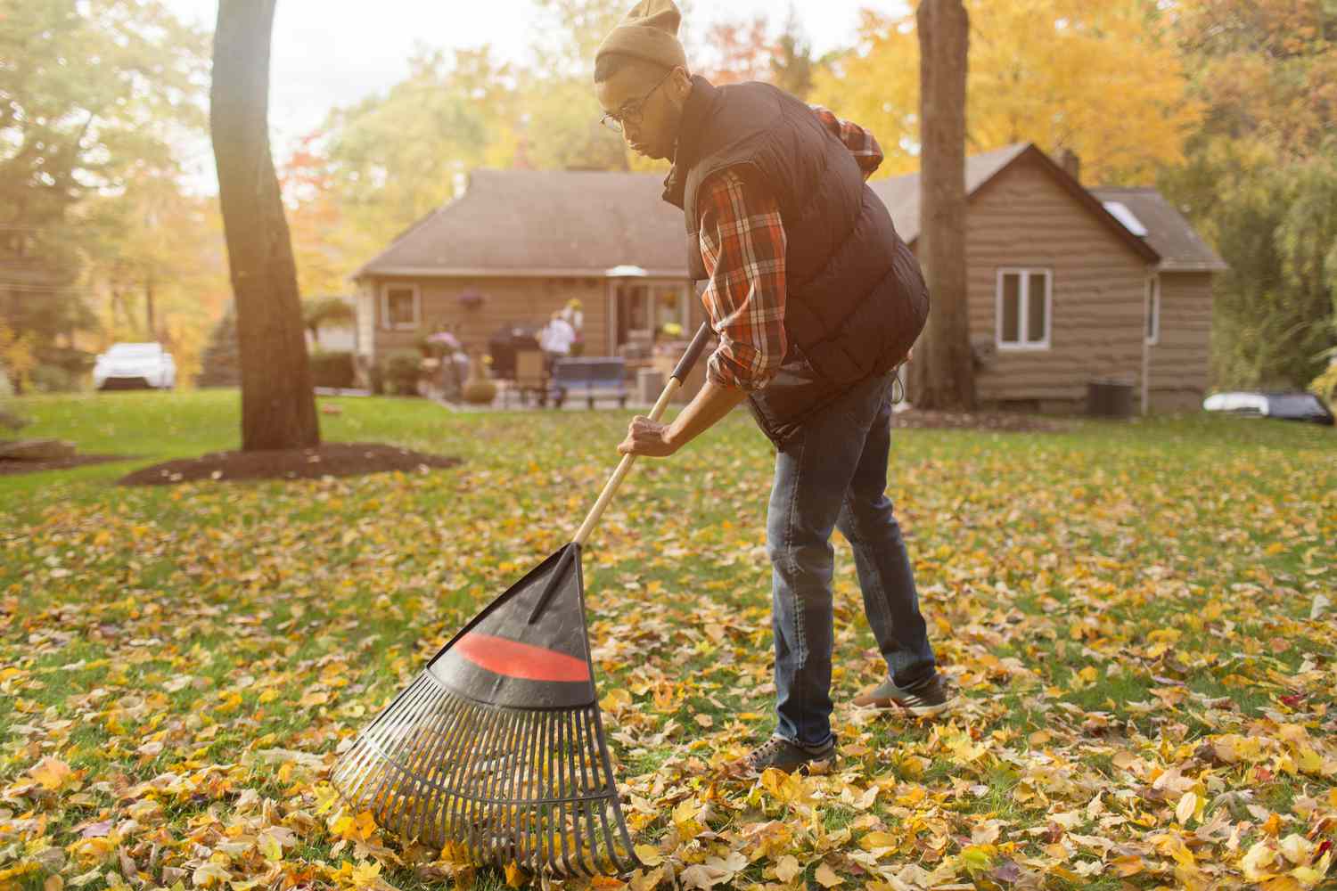 pictures of raking leaves