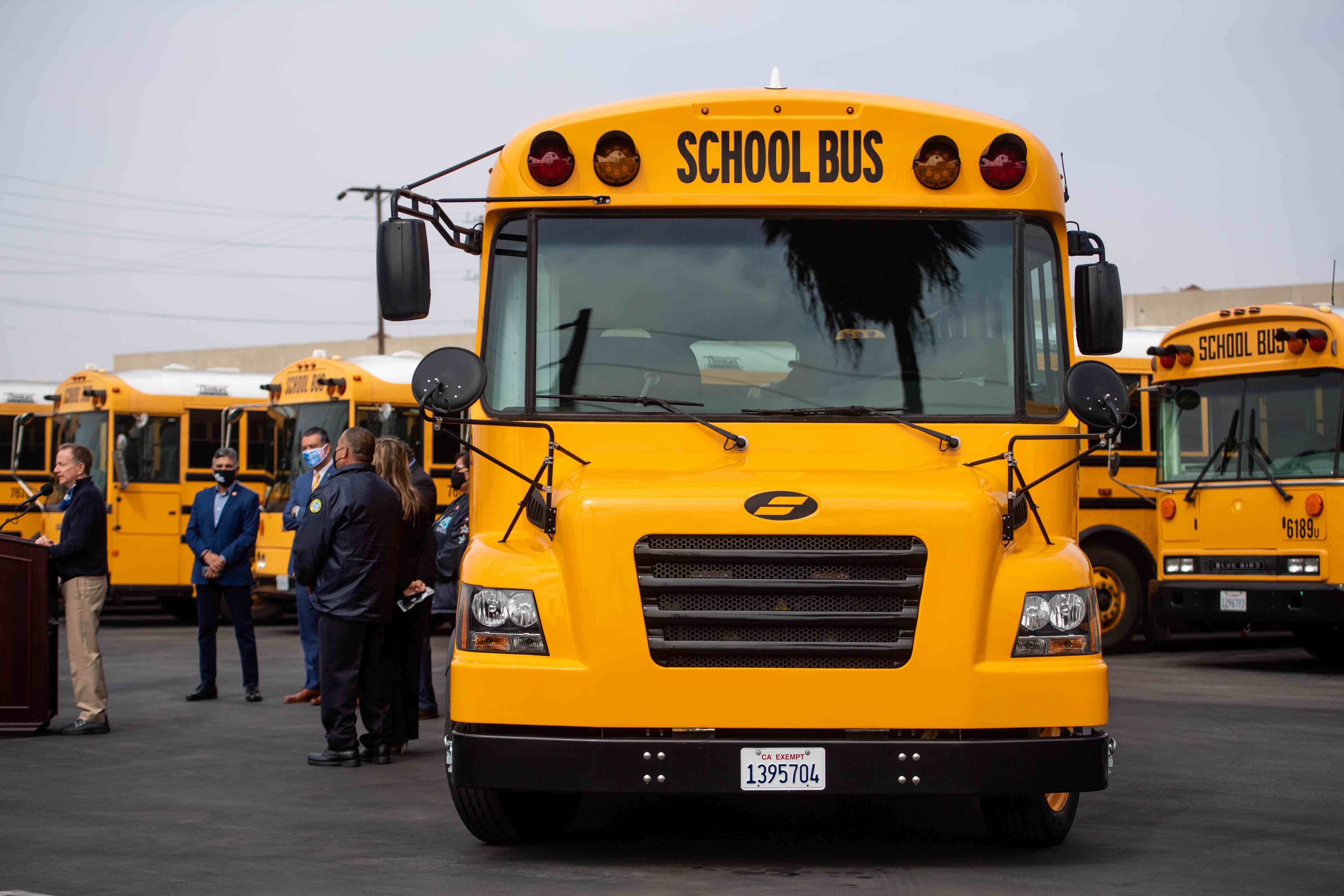 pictures of school buses