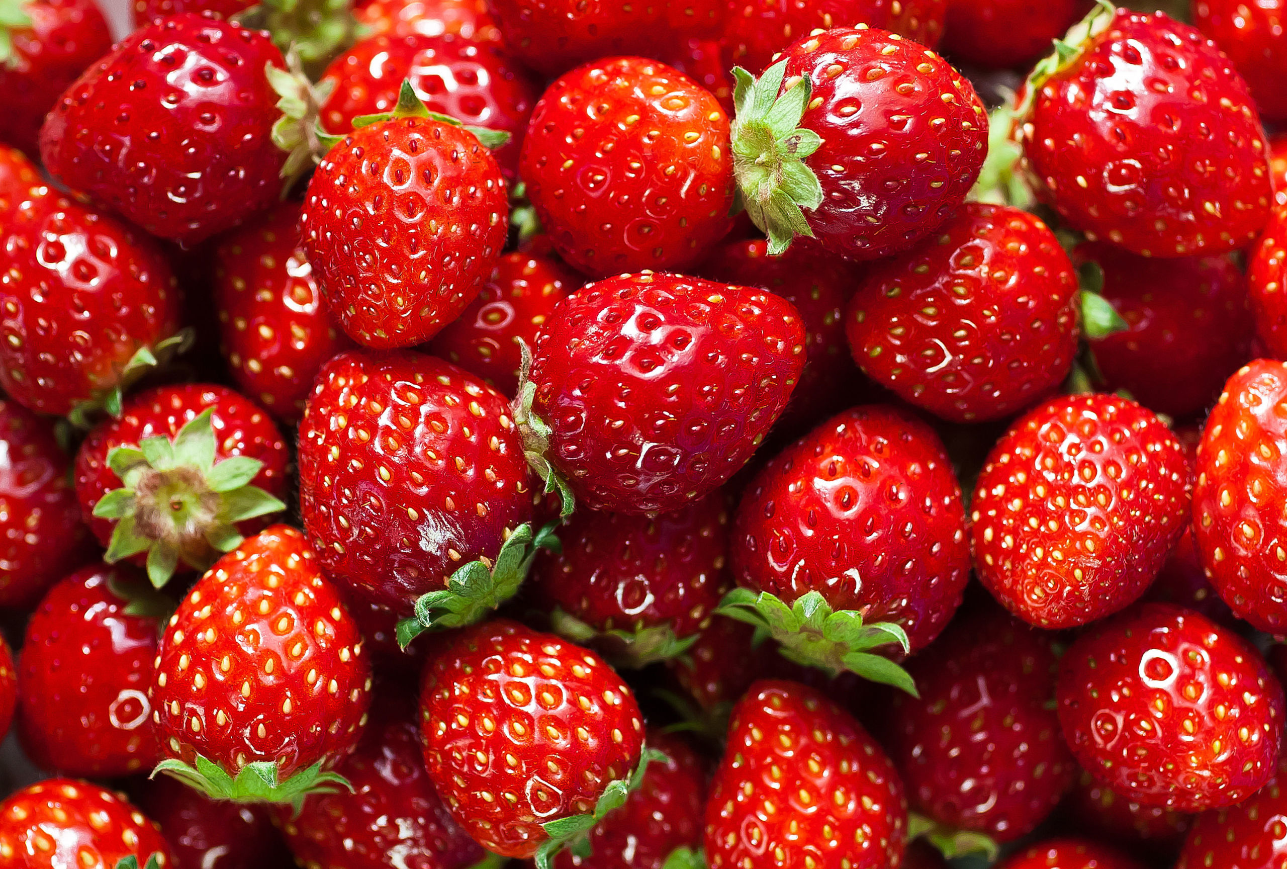 pictures of strawberries