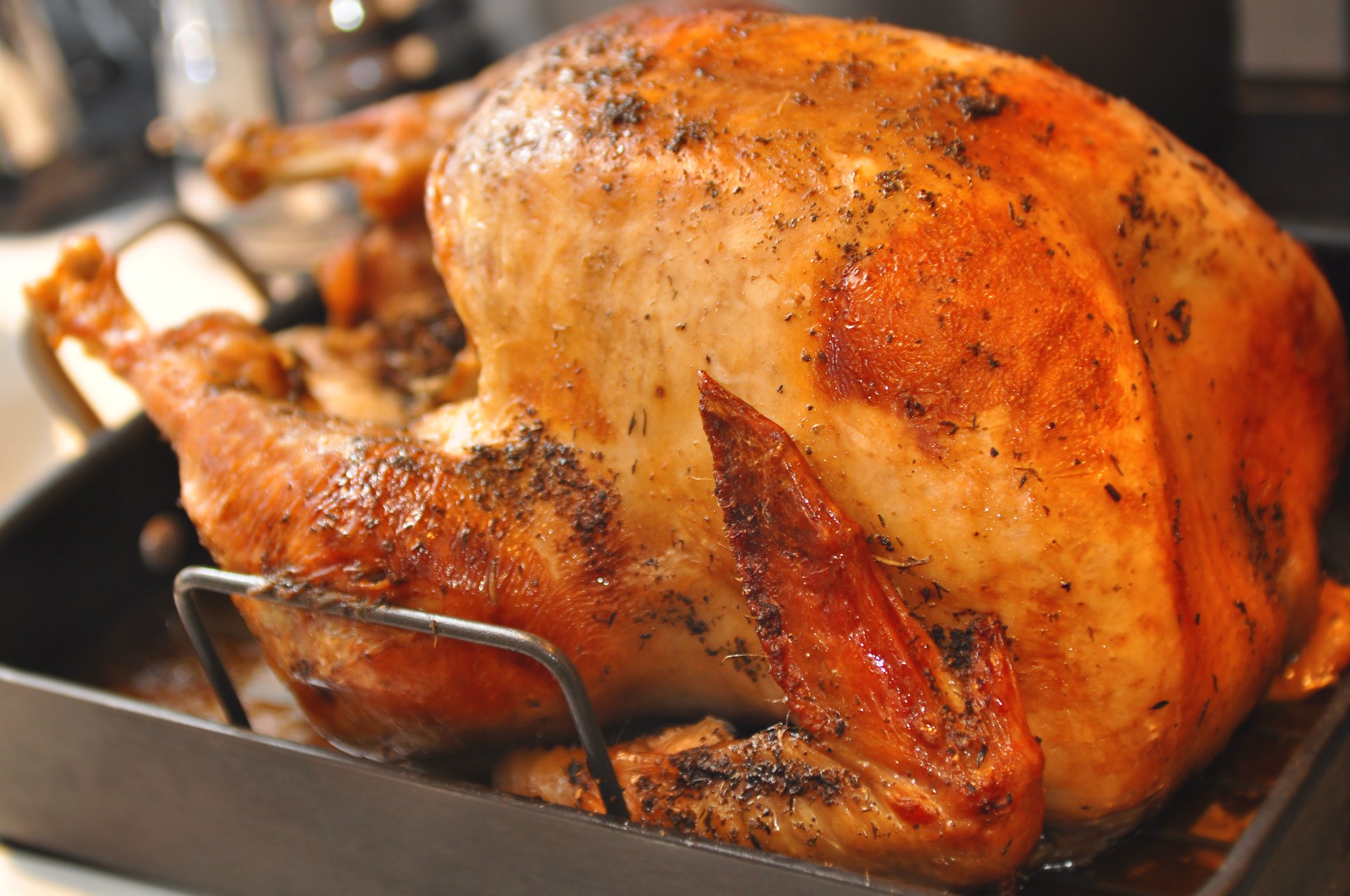 pictures of thanksgiving turkey