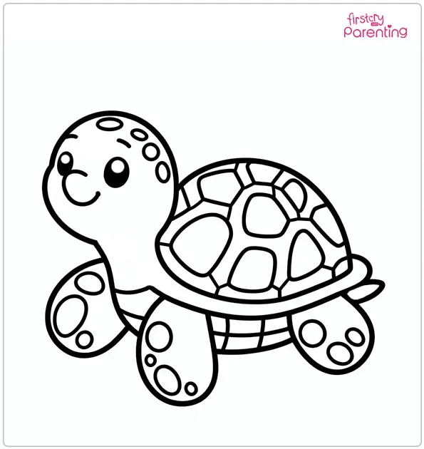 pictures of turtles to color