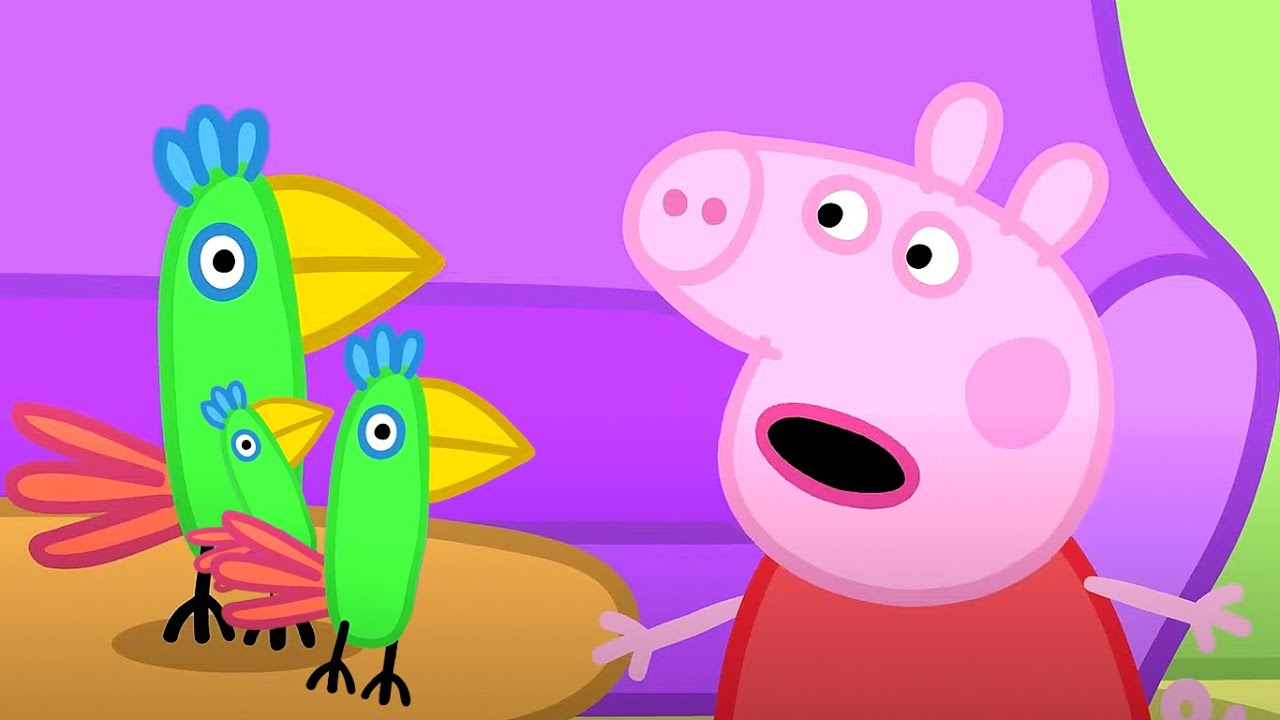 Peppa Pig Meets Parrots! ? | Peppa Pig | Full Episode Collection |  Cartoons for Kids