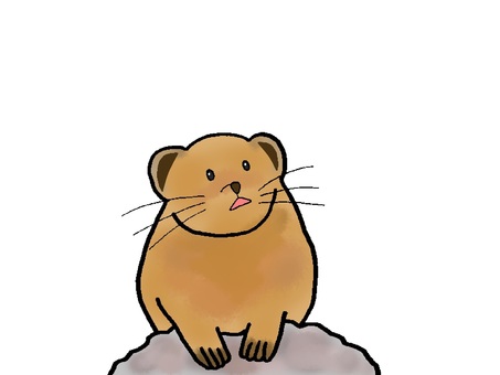 pika animal cliparts