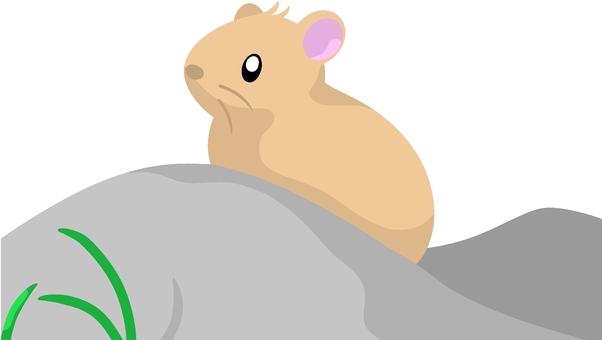 pika animal cliparts