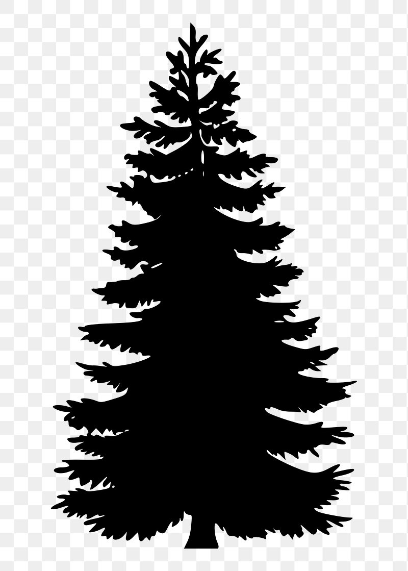 pine tree clip art