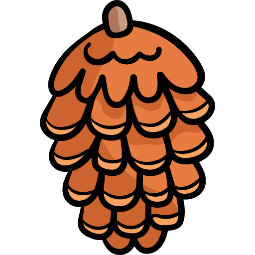 Pine cone - Free nature icons