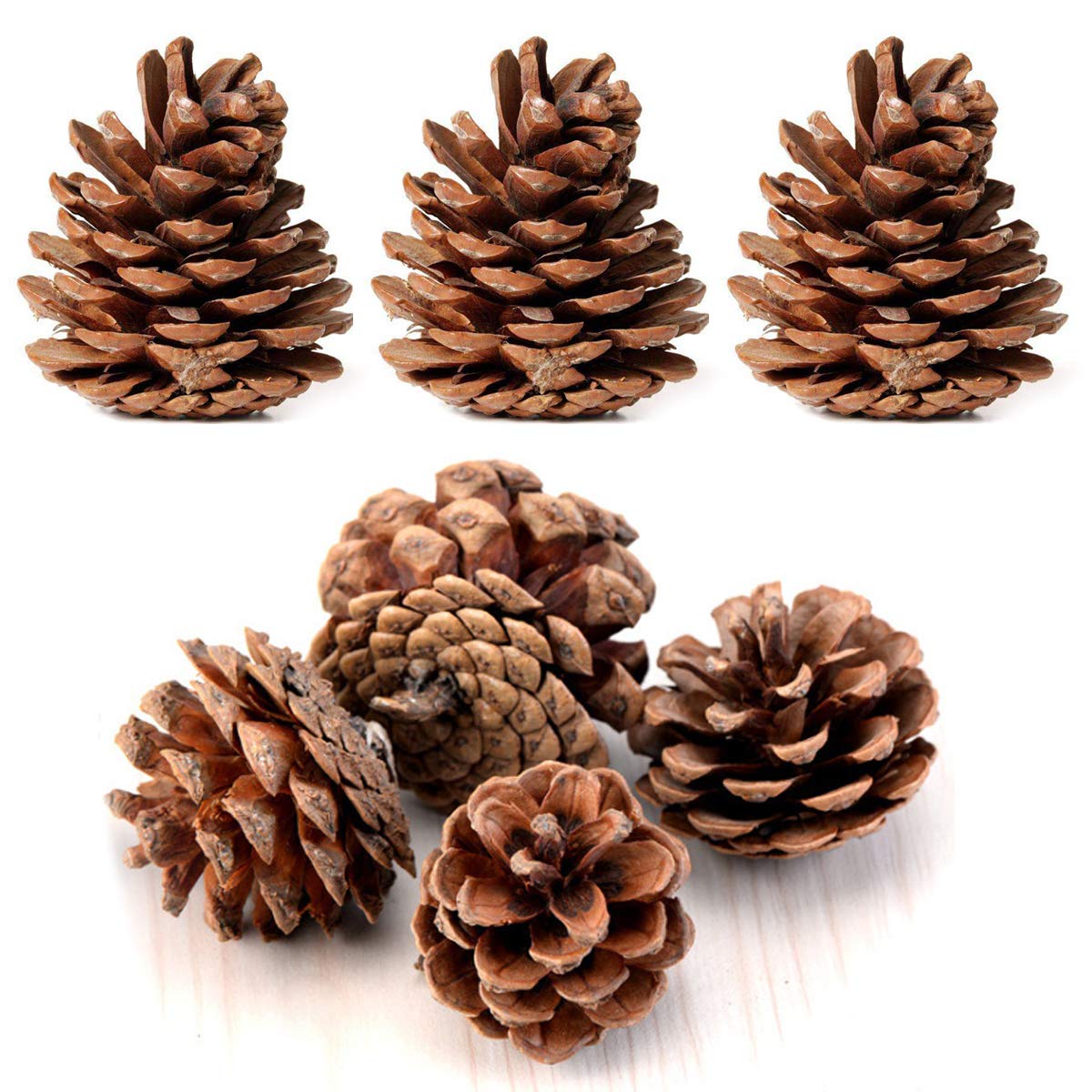 Bulk Pack of Natural Pinecones-24 Pack : Amazon.de: Home &amp; Kitchen