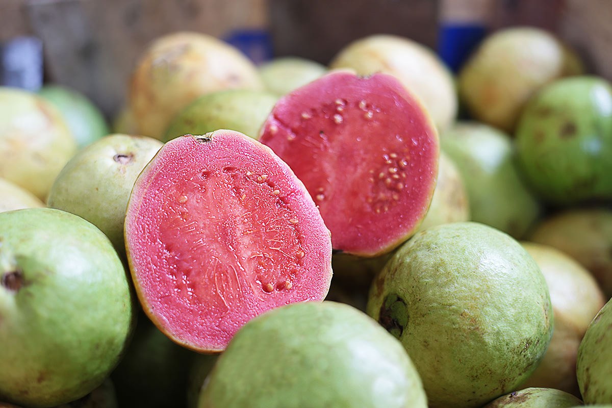 Pink Guava: Our guide to this tasty pink tropical fruit! - Awani Bali