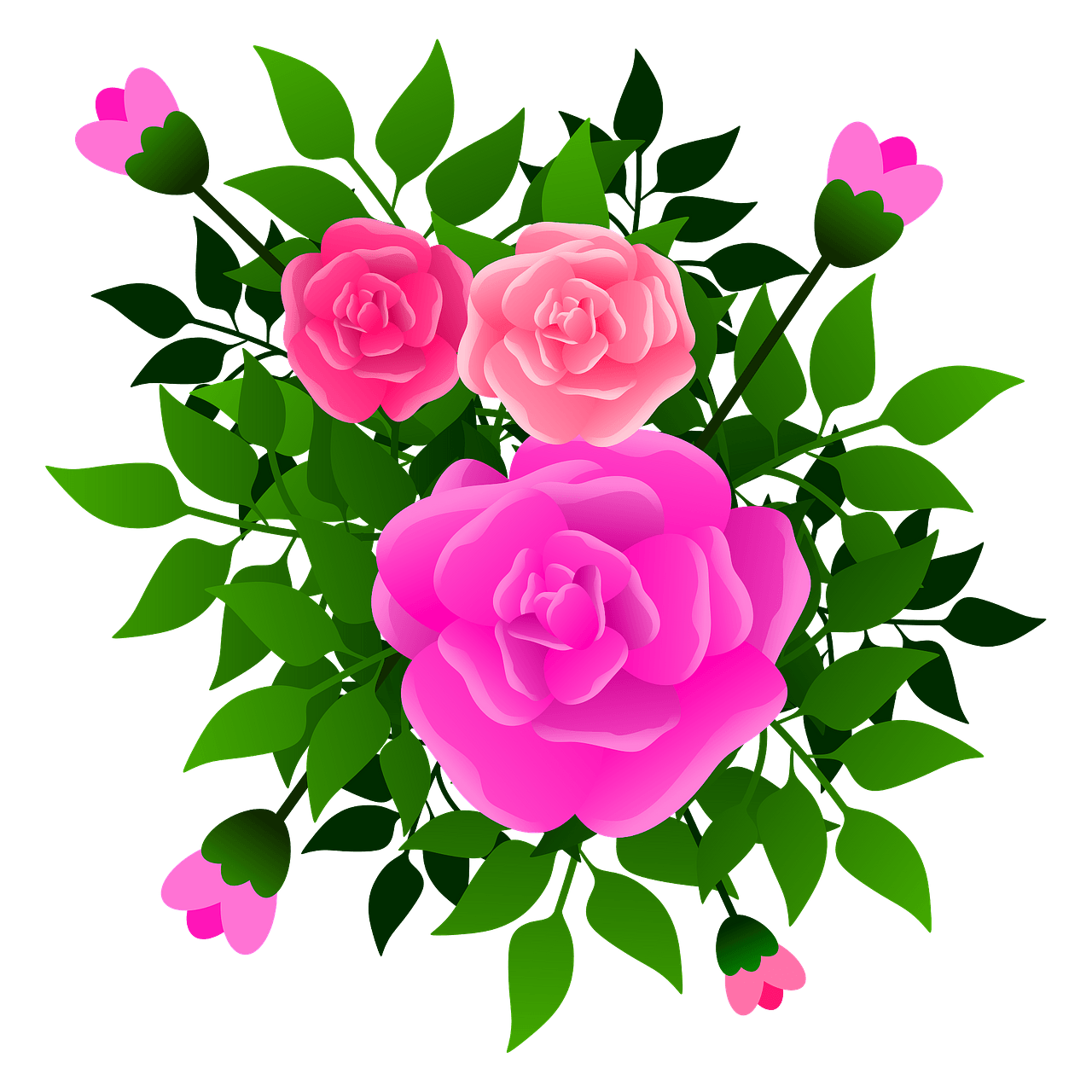 pink roses clipart