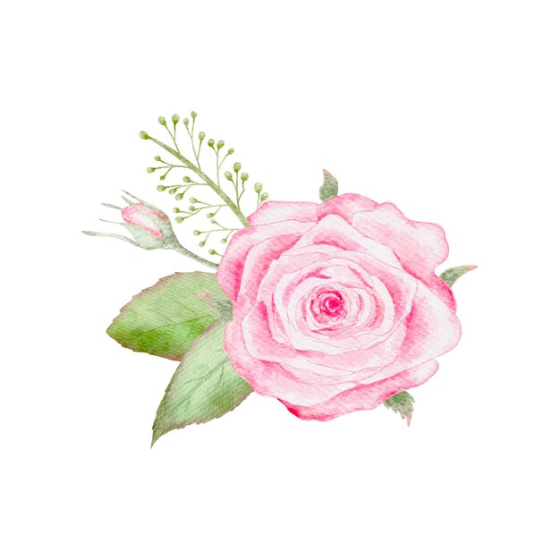pink roses clipart