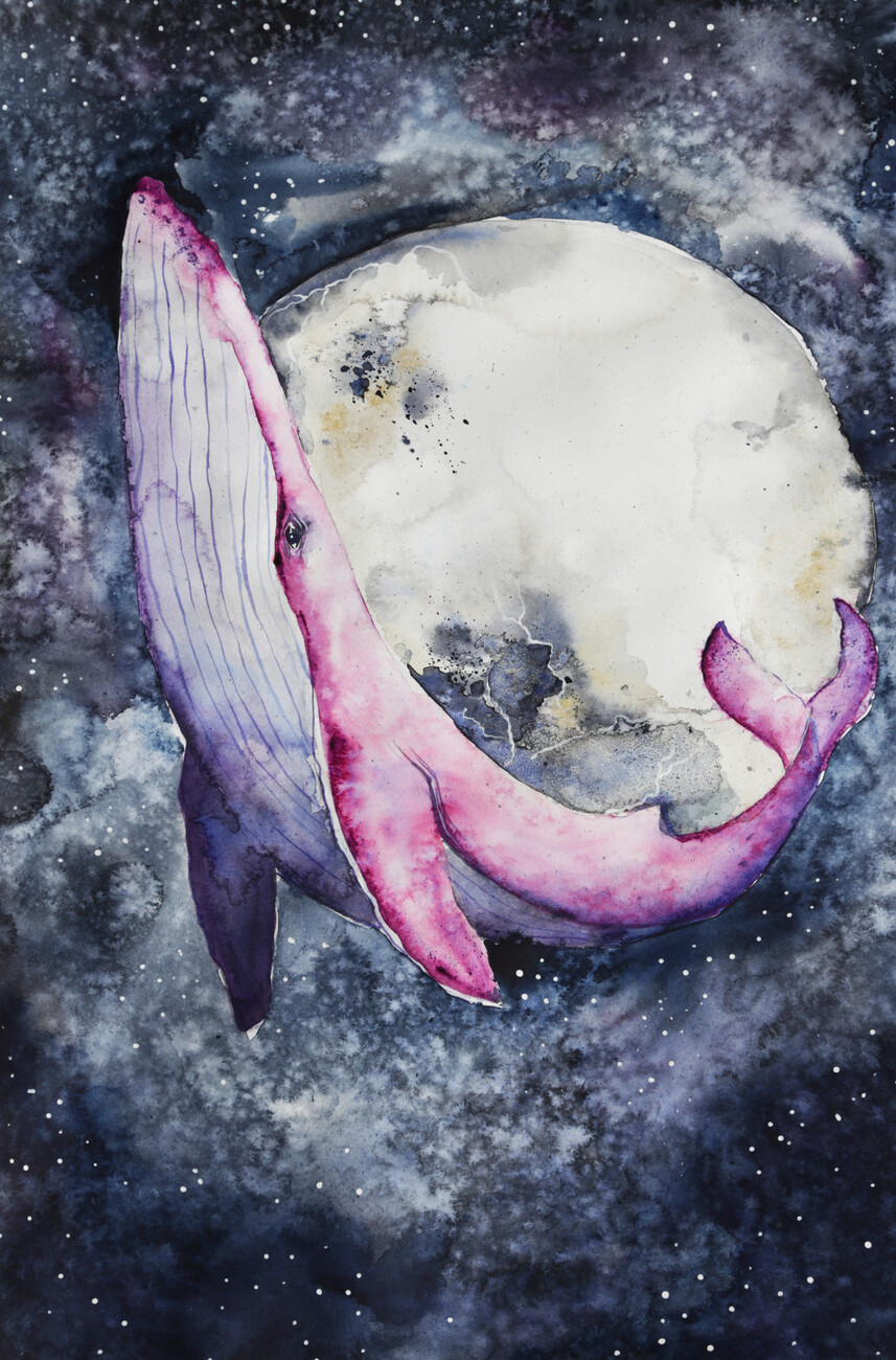Kunstdruck Pink Whale | Poster, Wandbilder und Tapeten | Europosters