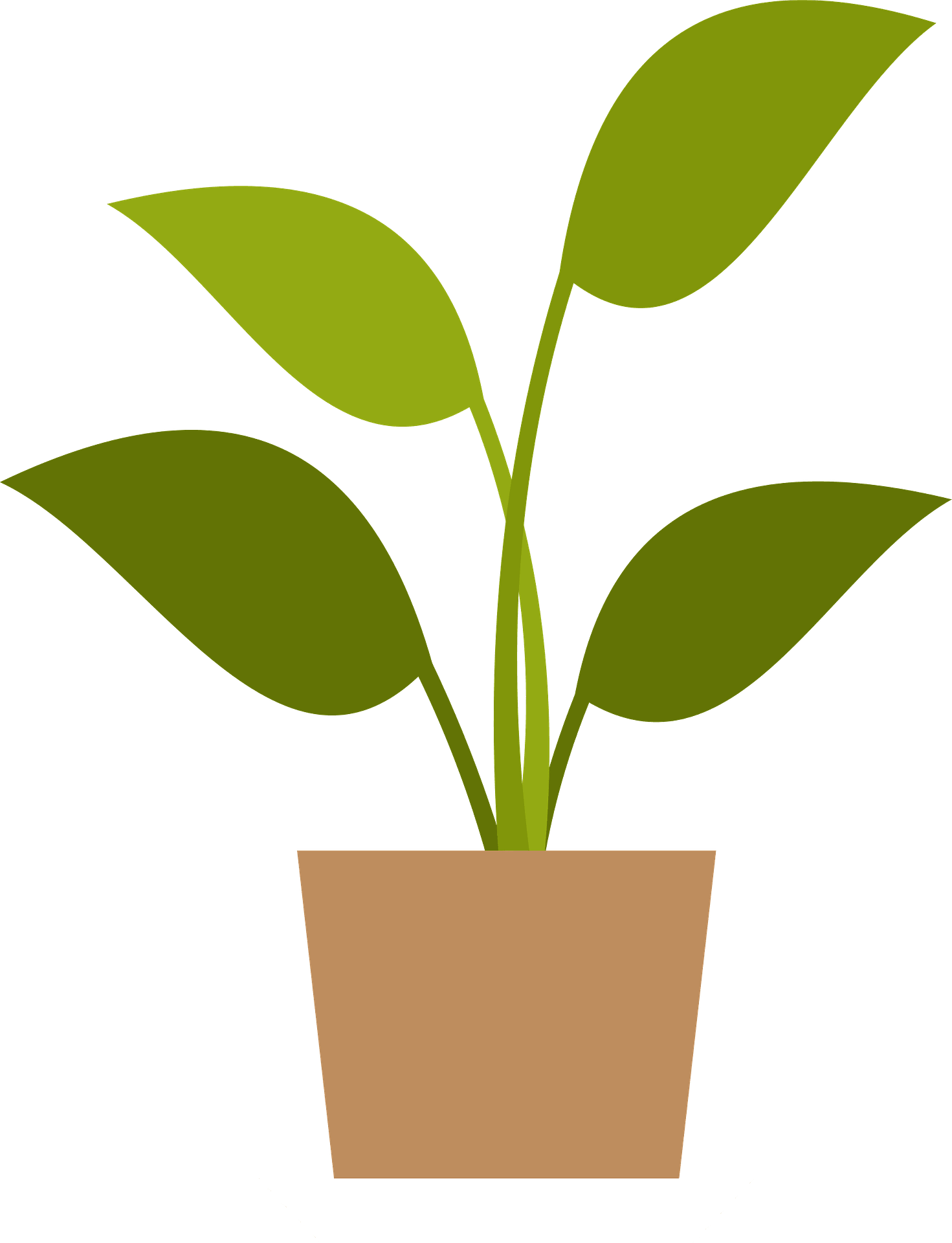 plant cliparts