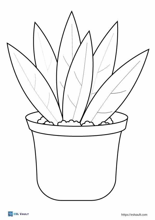 20 Free printable plant coloring pages - ESL Vault
