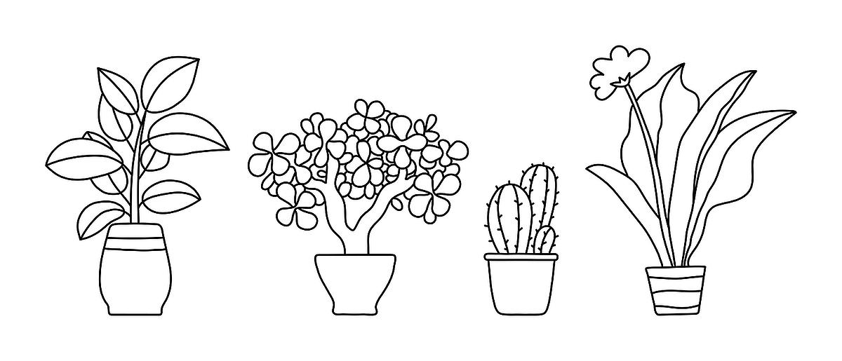 Houseplants Coloring Pages: Free Printable Coloring Pages of ...