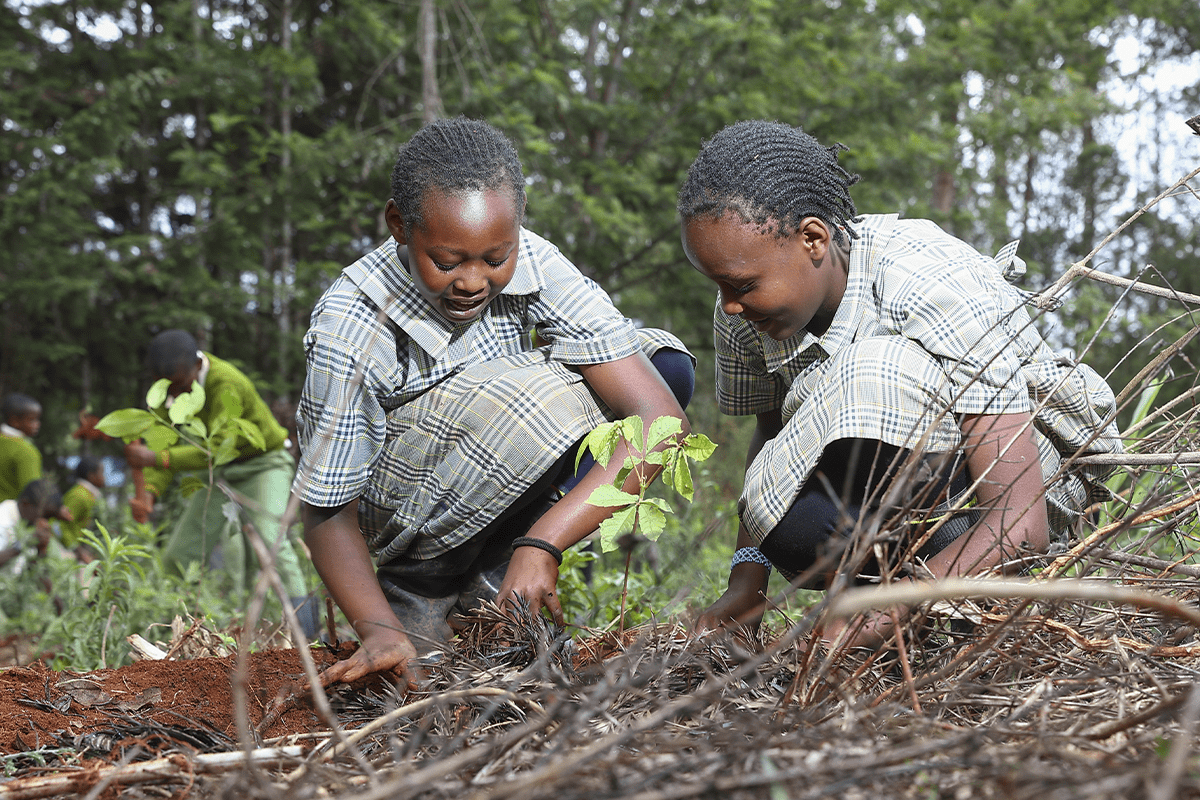 planting pictures