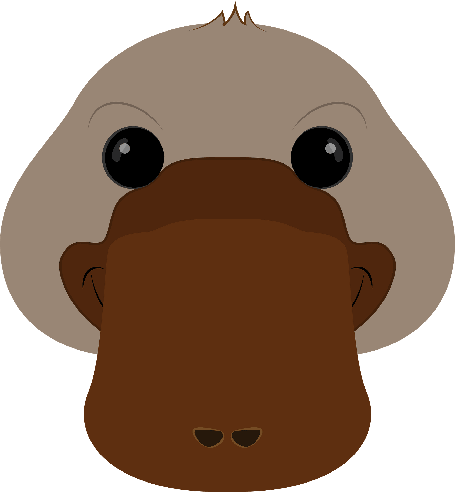 platypus face cliparts