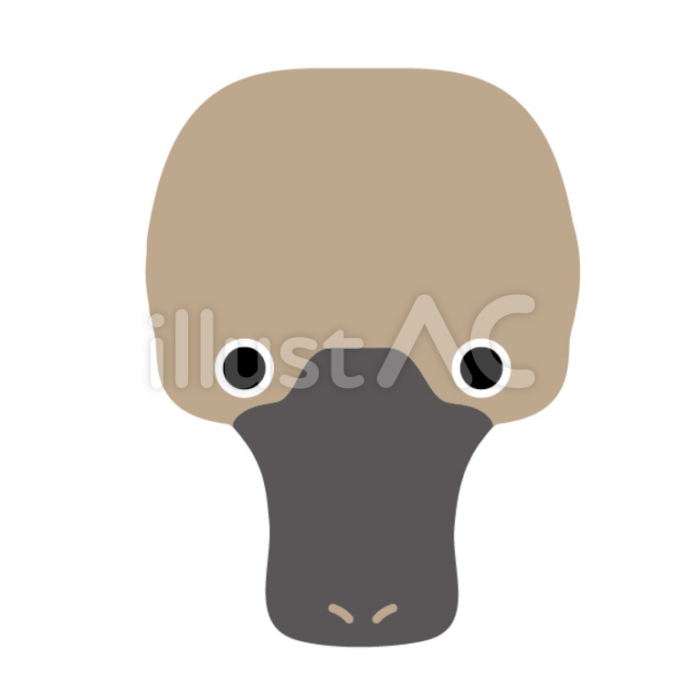 Free Vectors | platypus