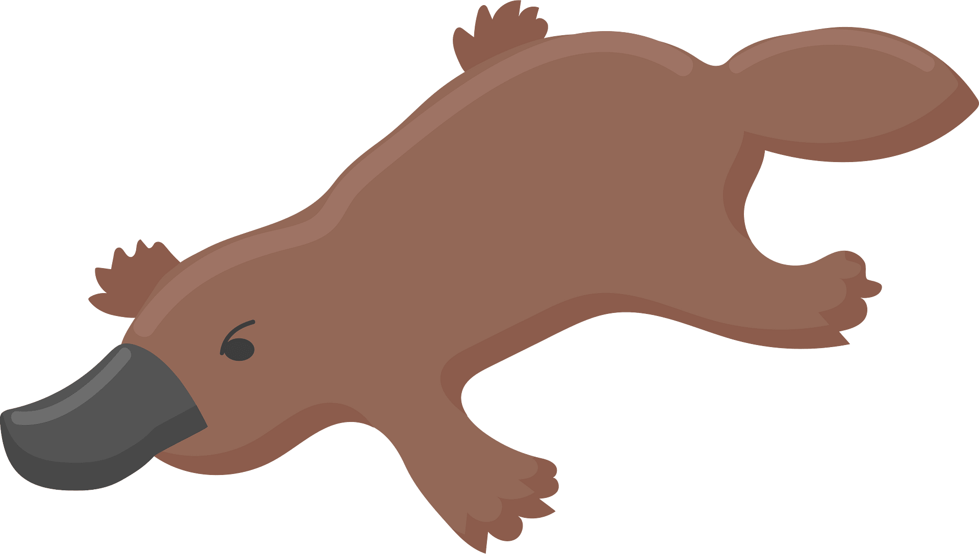 platypus face cliparts