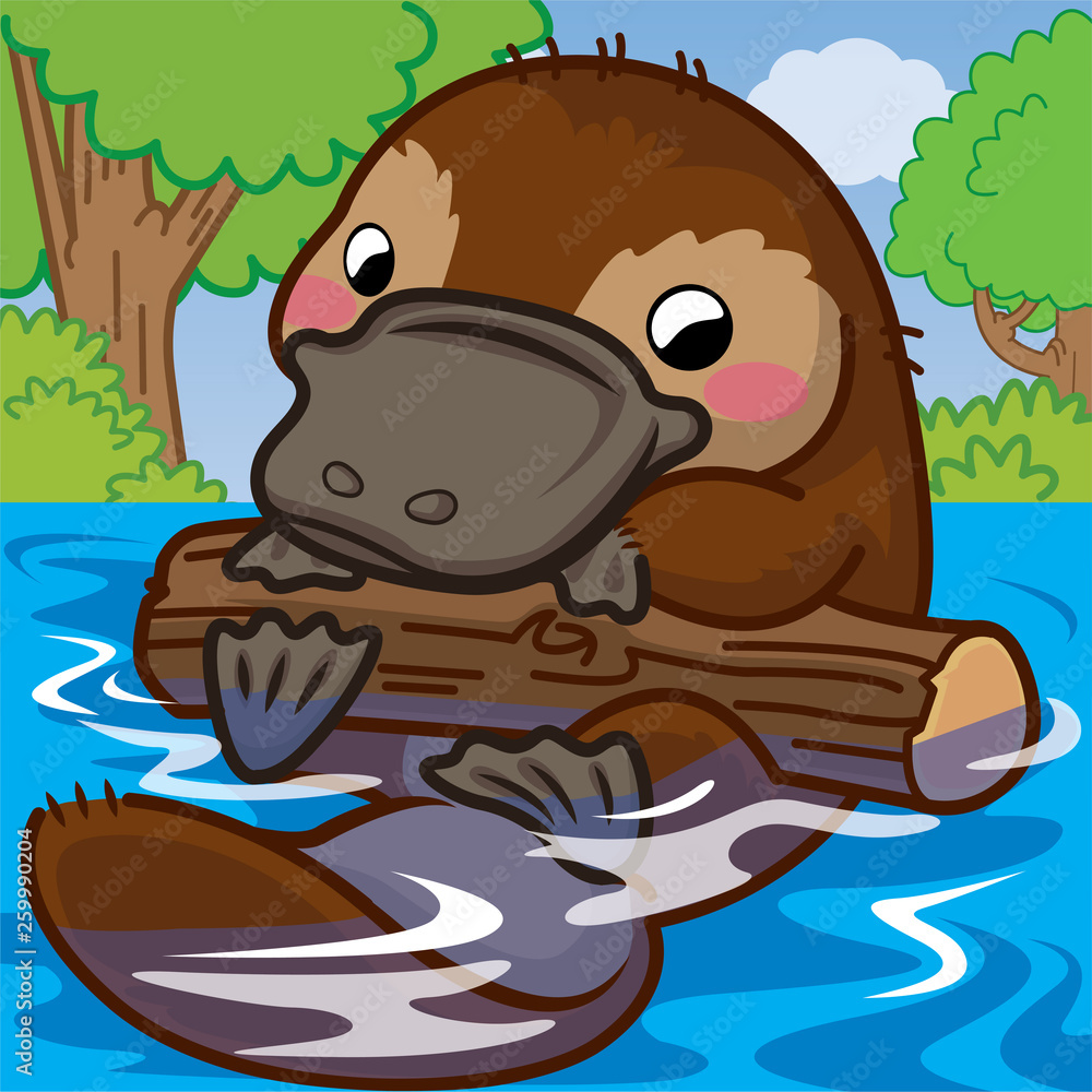 platypus pictures cartoon