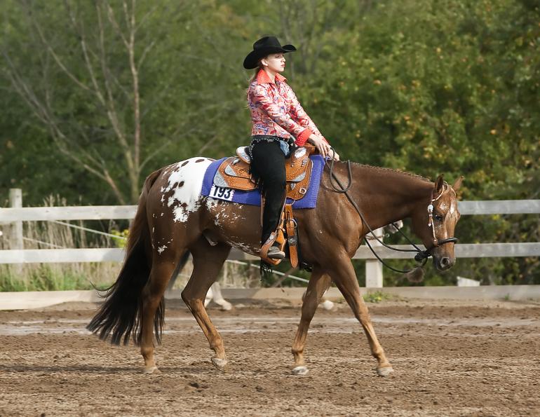 HorseWise: The Ups and Downs of Western Pleasure | Horse Journals