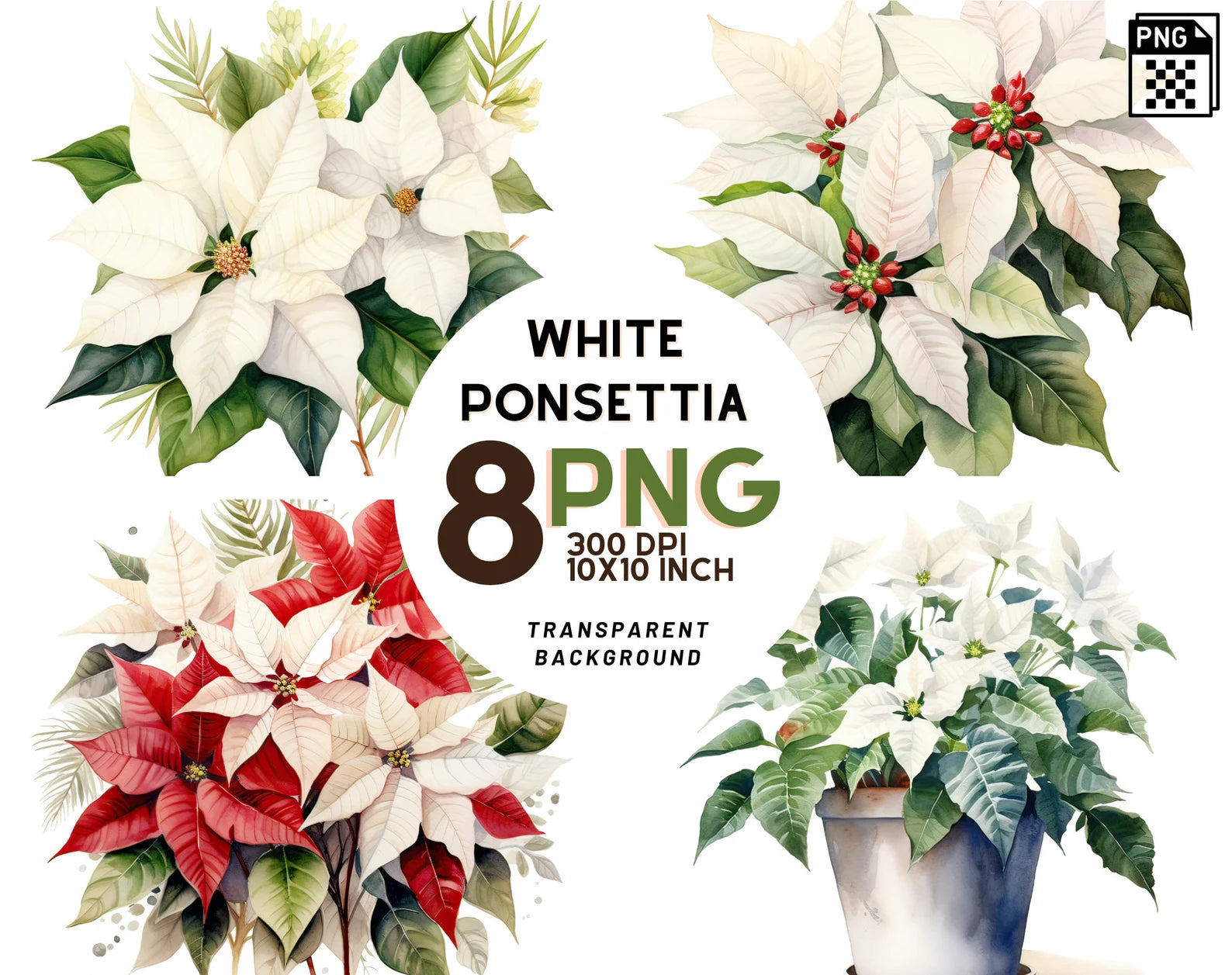 poinsettia cliparts