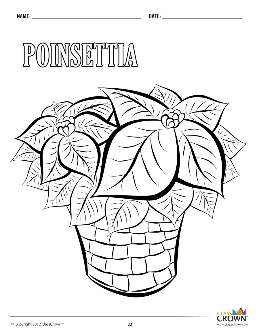 poinsettia coloring pages