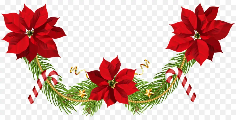 poinsettias cliparts