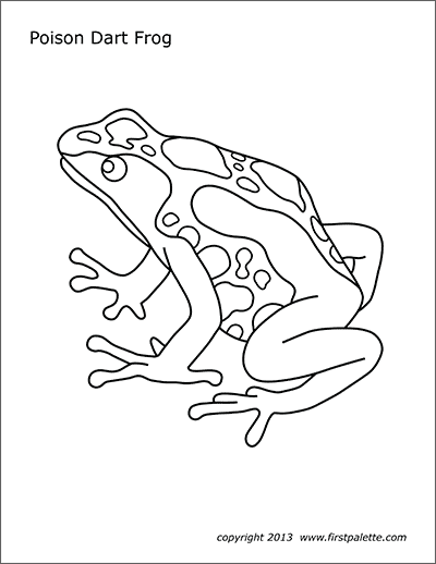 poison dart frog coloring page