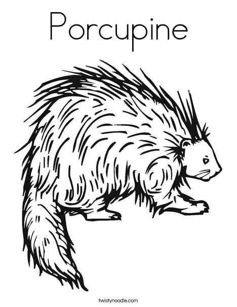 porcupine coloring pages