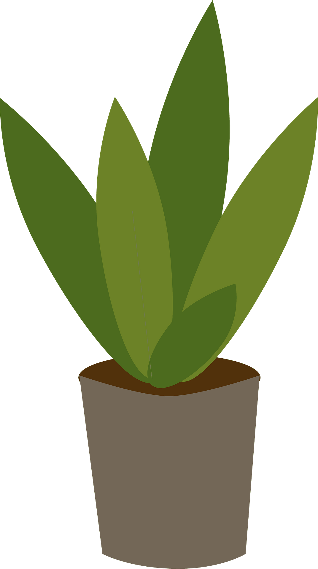 potted plant cliparts