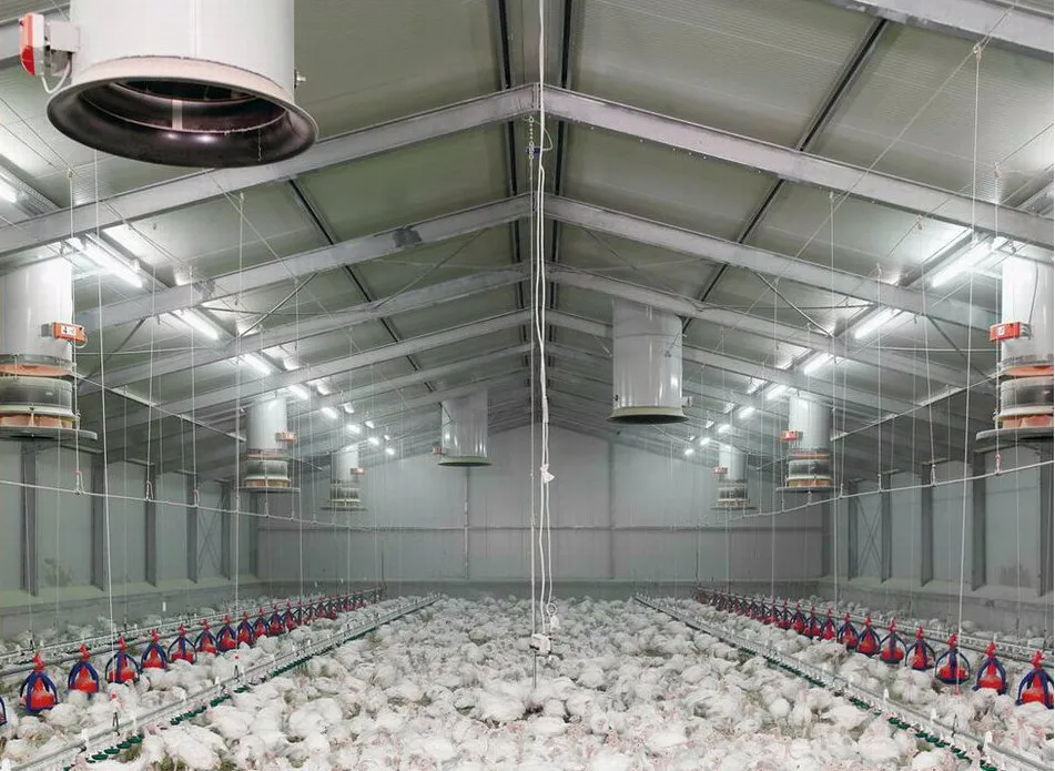 Prefab Poultry Farm/ Chicken Farm Chicken Poultrys Breeding House ...
