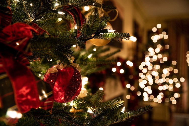 Kate Winter Forest Christmas Tree Beautiful Red Decoration Arch ...