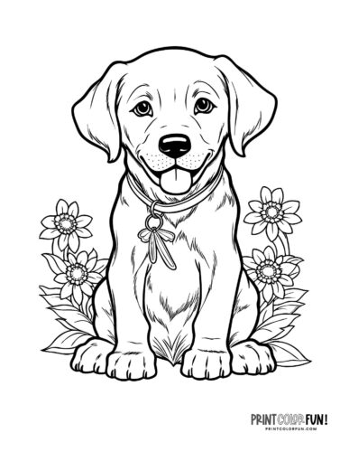 print puppy pictures