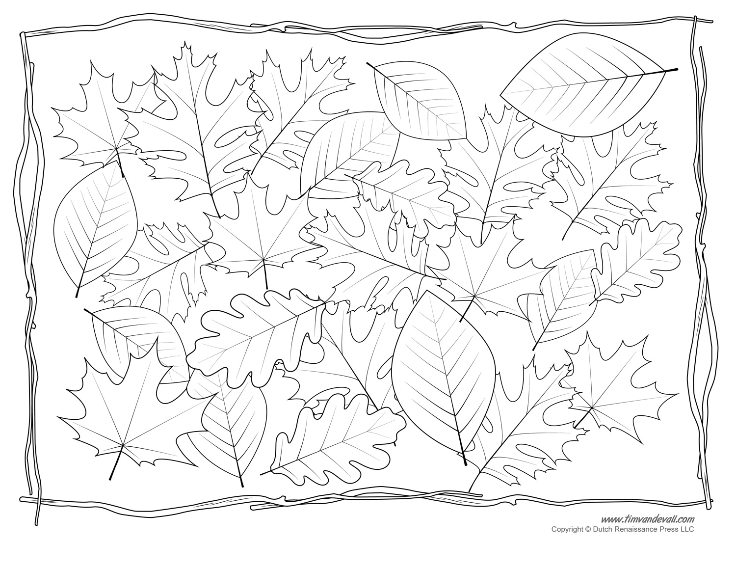 Leaf Templates &amp; Leaf Coloring Pages for Kids | Leaf Printables