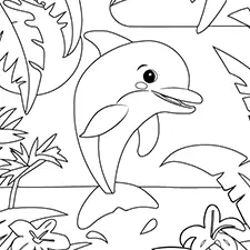 printable pictures of dolphins